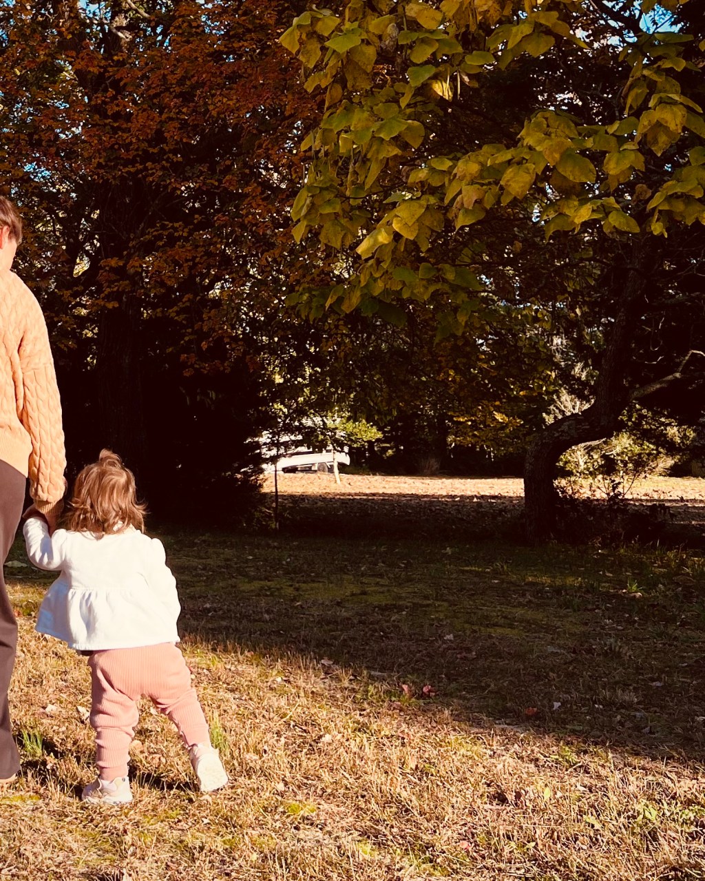 A mother holding her toddler daughter’s hand while walking outdoors, symbolizing presence, guidance, and growth in motherhood.